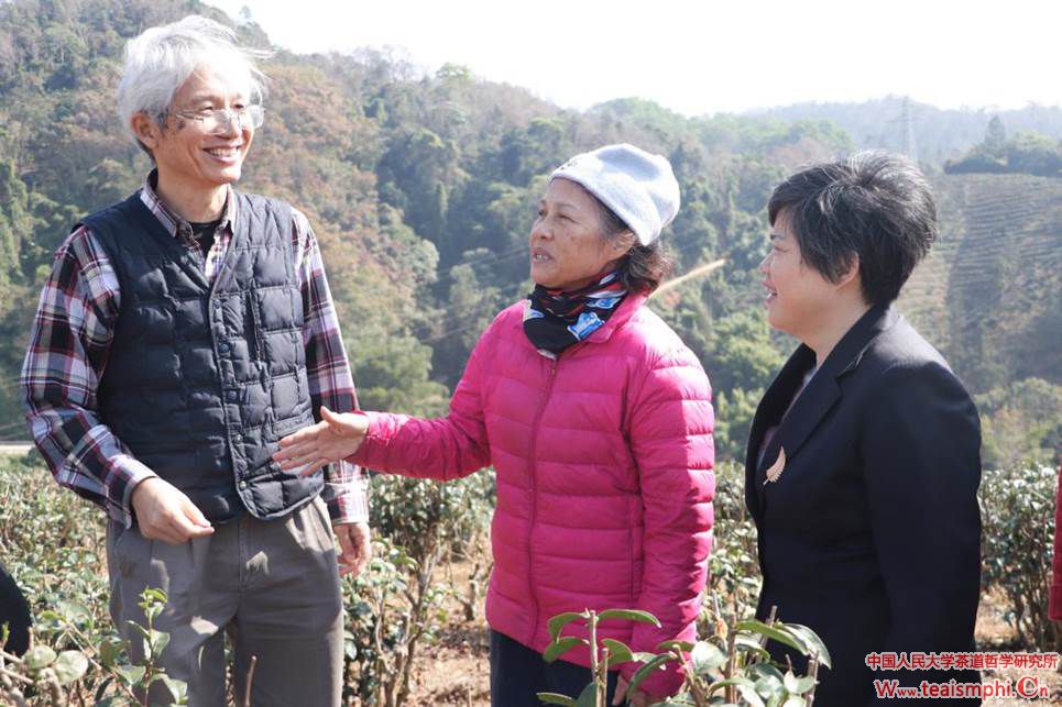 星星之火，椰仙茶红——对话五指山“茶姐”郑丽娟女士